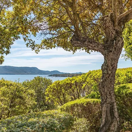 A Signoria * Porto-Vecchio (Corsica)