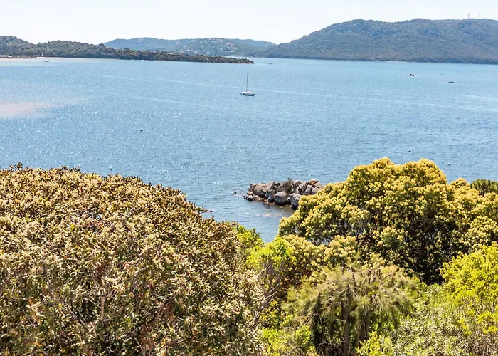 别墅 A Signoria 维琪奥港