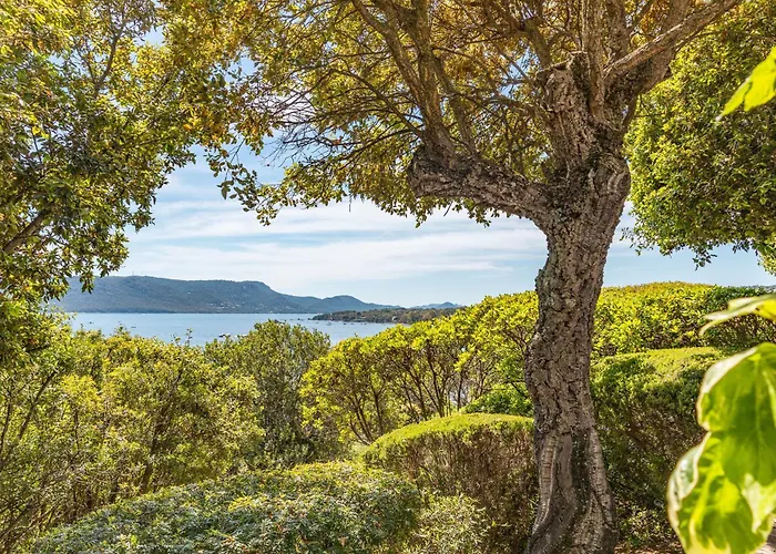 A Signoria * 维琪奥港