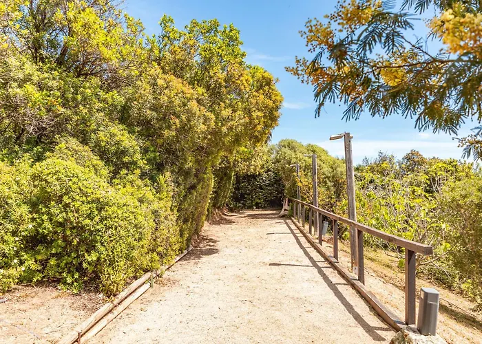 A Signoria 维琪奥港